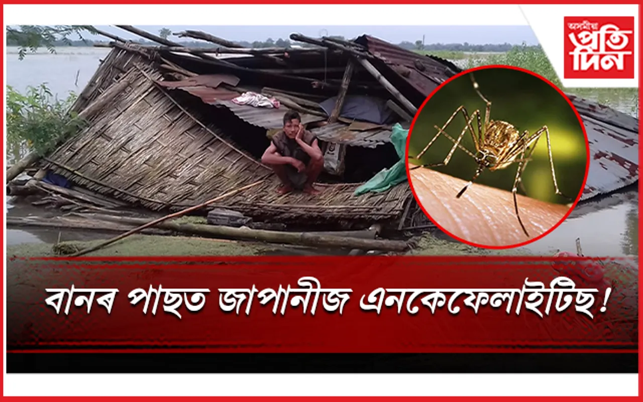 প্ৰতিদিনে দ্ৰুতগতিত বাঢ়িছে জাপানীজ এনকেফেলাইটিছৰ সংক্ৰমণ...